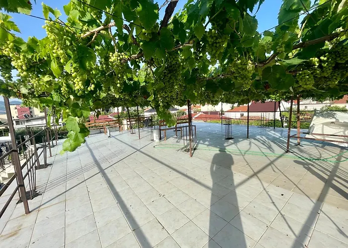 Xhou's אכסניה *